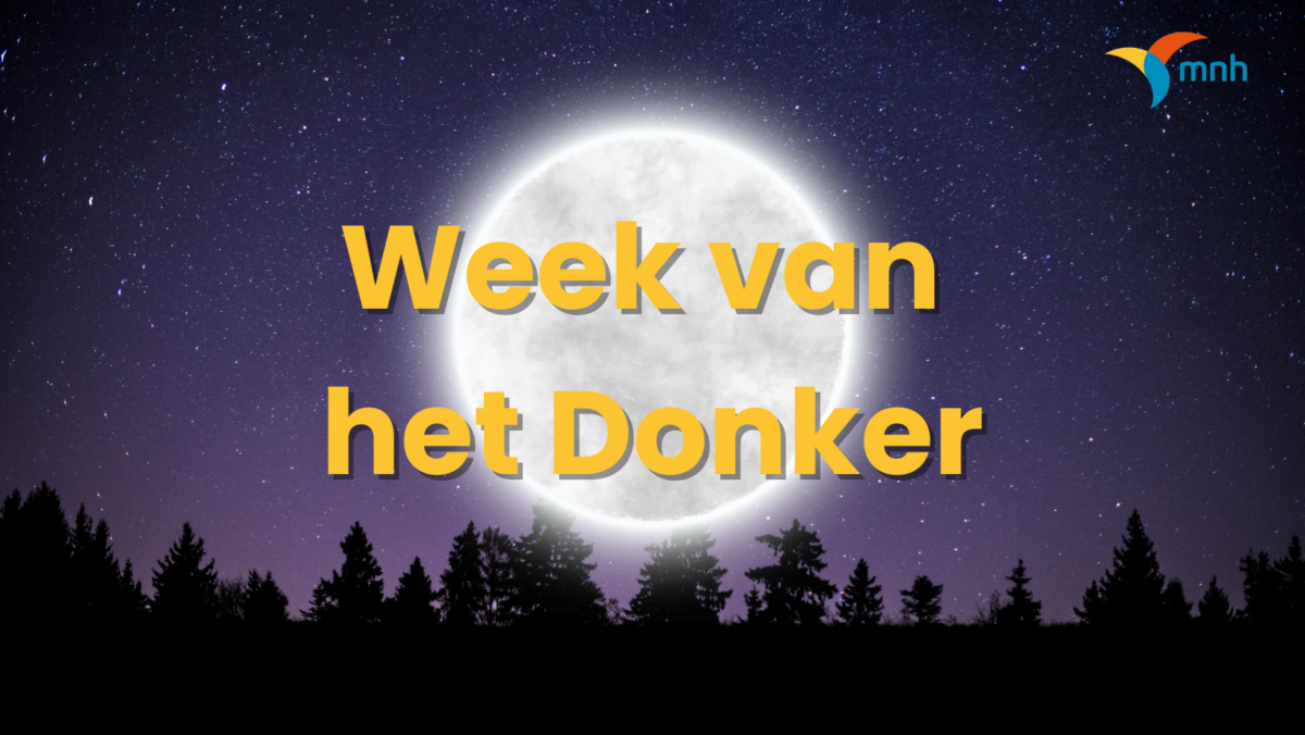 Week van het Donker